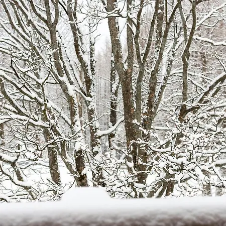 Golden - One Bedroom - Mountain View&b13 Apartament *